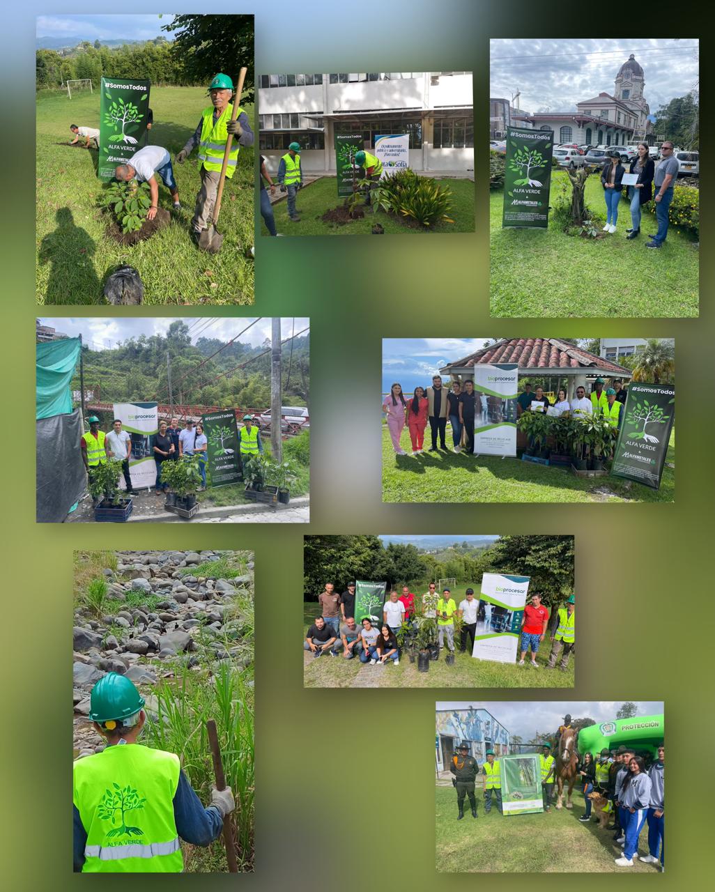 Collage de actividades